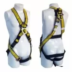 arnes-en-x-expert-line