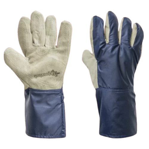 805184-510x510-removebg-preview