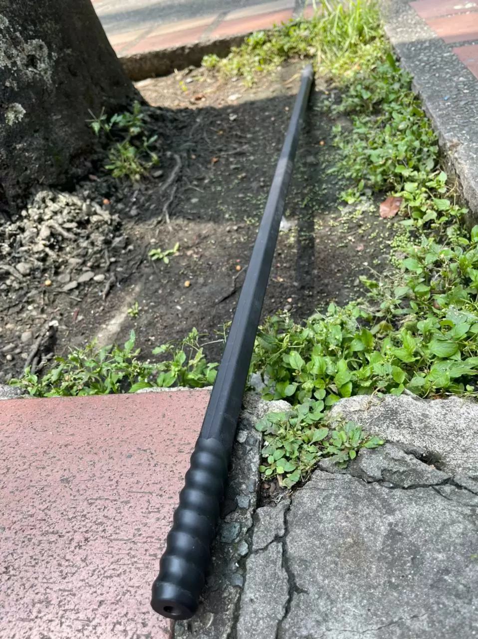 WhatsApp Image 2022-03-15 at 11.58