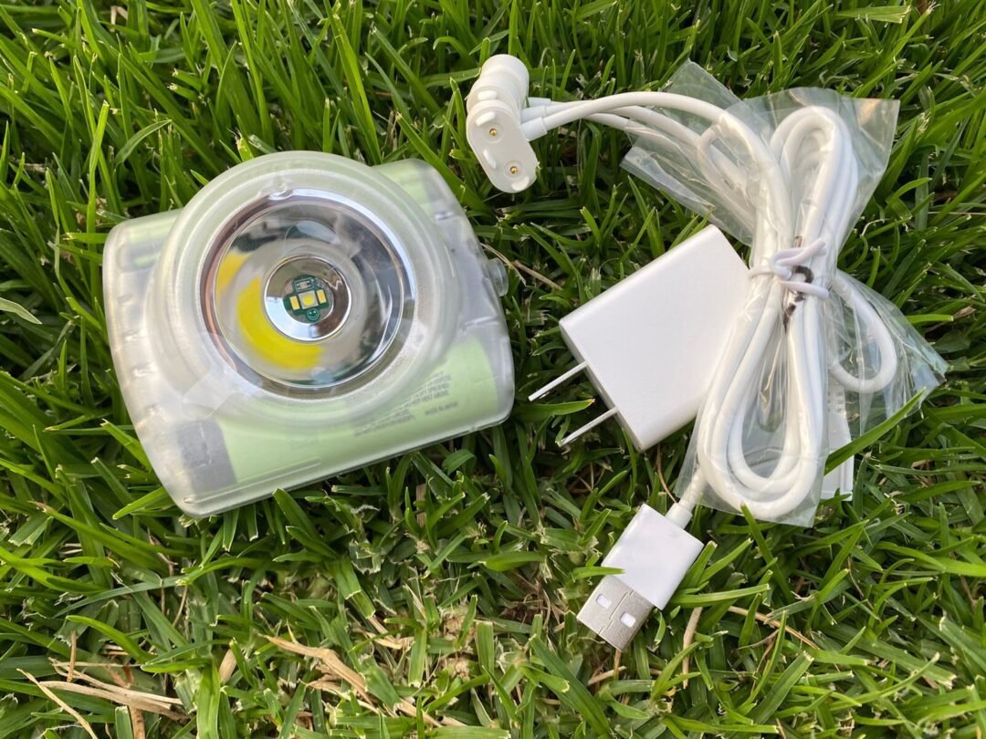 WhatsApp Image 2022-03-25 at 5.52.58 PM