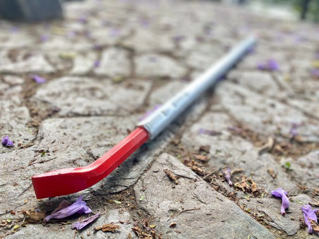 WhatsApp Image 2022-12-28 at 9.50.25 AM