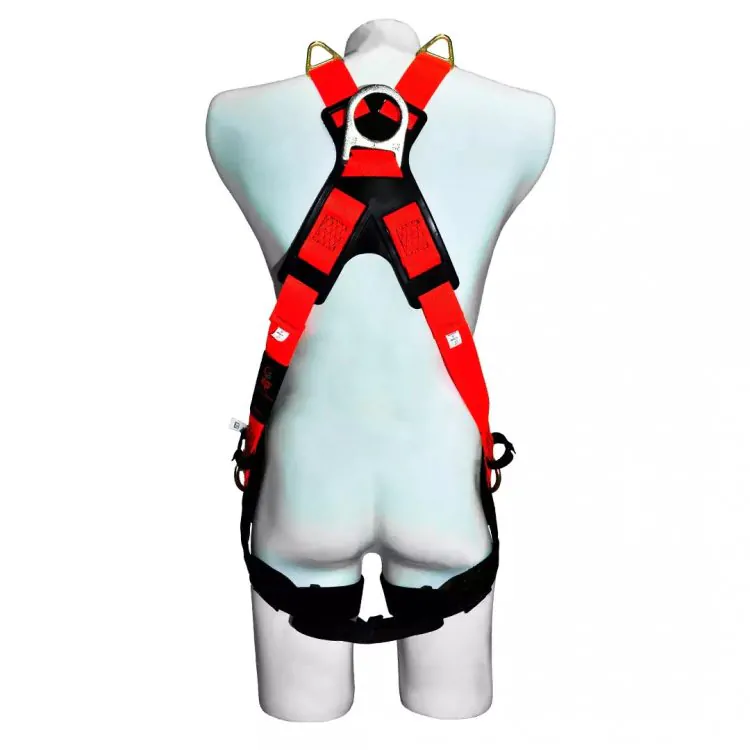 arnes-xp-de-6-puntos-multitech- (1)