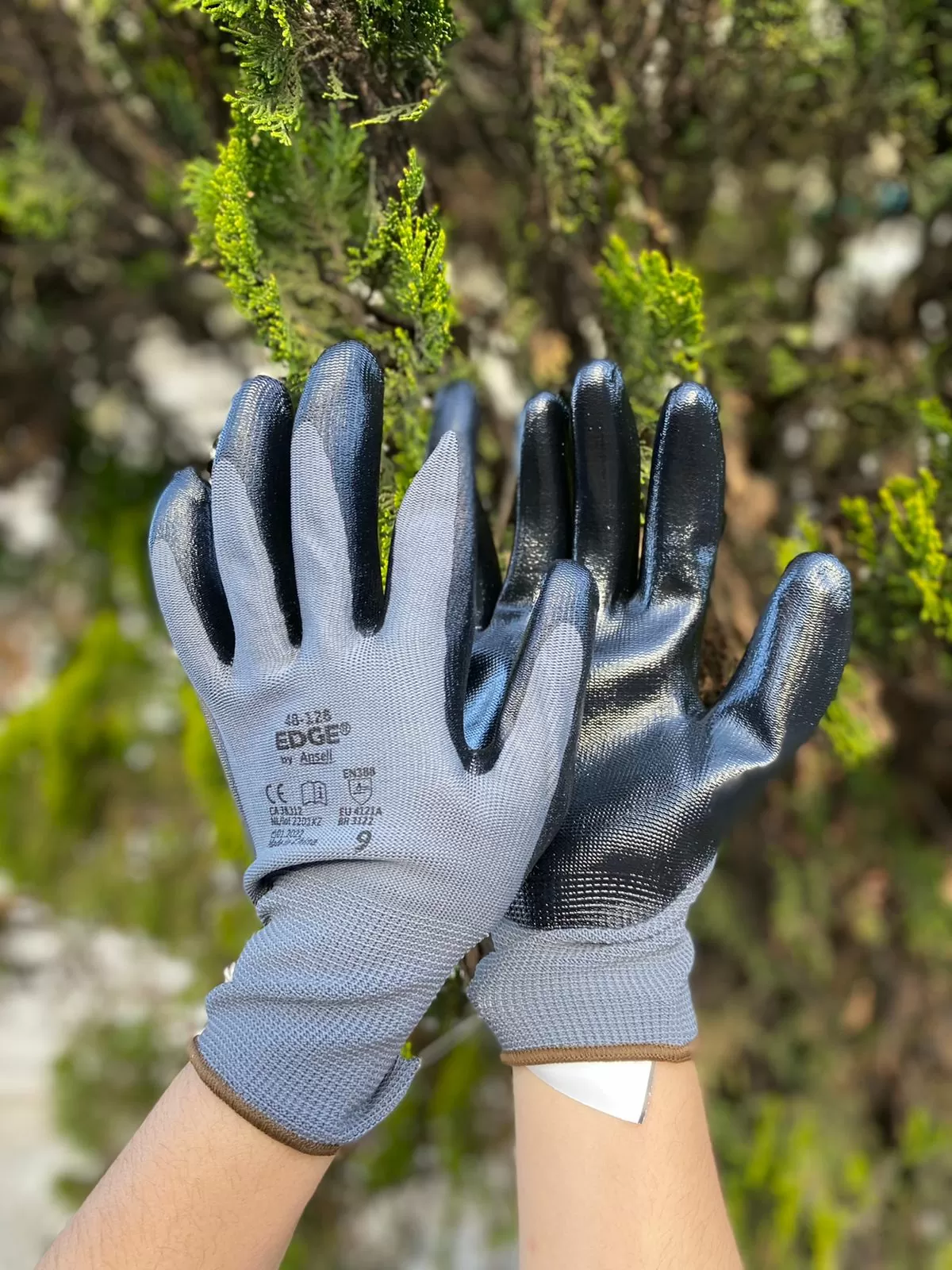 WhatsApp Image 2022-08-17 at 5.15