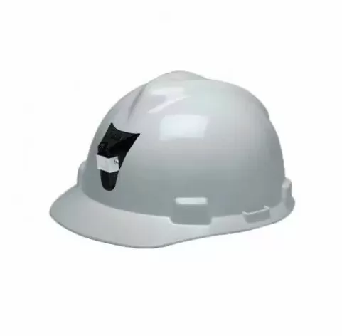 Captura de pantalla 2022-10-10 092411 casco